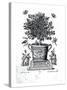Ornamental Tree in an Urn on a Small Stage-Martin Engelbrecht-Stretched Canvas