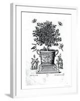 Ornamental Tree in an Urn on a Small Stage-Martin Engelbrecht-Framed Giclee Print