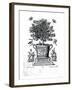 Ornamental Tree in an Urn on a Small Stage-Martin Engelbrecht-Framed Giclee Print