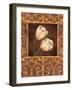 Ornamental Tulips-Andres Gonzales-Framed Art Print