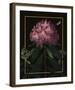 Ornamental - Vincennes Luxe-Stephanie Monahan-Framed Giclee Print