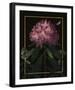 Ornamental - Vincennes Luxe-Stephanie Monahan-Framed Giclee Print