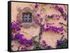 Ornamental Window, San Miguel De Allende, Mexico-Alice Garland-Framed Stretched Canvas