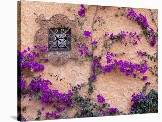 Ornamental Window, San Miguel De Allende, Mexico-Alice Garland-Stretched Canvas