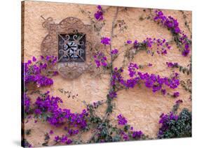 Ornamental Window, San Miguel De Allende, Mexico-Alice Garland-Stretched Canvas