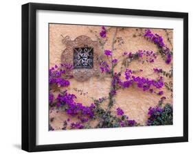 Ornamental Window, San Miguel De Allende, Mexico-Alice Garland-Framed Premium Photographic Print