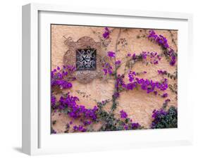 Ornamental Window, San Miguel De Allende, Mexico-Alice Garland-Framed Premium Photographic Print