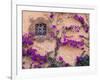 Ornamental Window, San Miguel De Allende, Mexico-Alice Garland-Framed Photographic Print