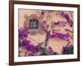 Ornamental Window, San Miguel De Allende, Mexico-Alice Garland-Framed Photographic Print