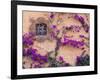 Ornamental Window, San Miguel De Allende, Mexico-Alice Garland-Framed Photographic Print