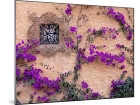 Ornamental Window, San Miguel De Allende, Mexico-Alice Garland-Mounted Photographic Print