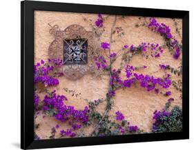 Ornamental Window, San Miguel De Allende, Mexico-Alice Garland-Framed Photographic Print