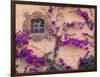 Ornamental Window, San Miguel De Allende, Mexico-Alice Garland-Framed Photographic Print