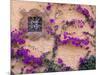 Ornamental Window, San Miguel De Allende, Mexico-Alice Garland-Mounted Photographic Print