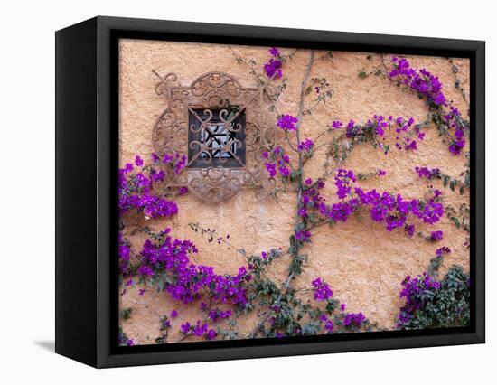 Ornamental Window, San Miguel De Allende, Mexico-Alice Garland-Framed Stretched Canvas