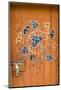 Ornamented Door, Chimi Lhakhang, Bhutan-Michael Runkel-Mounted Photographic Print