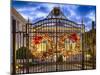 Ornamented Gate of La Fortaleza, San Juan, Puerto-George Oze-Mounted Photographic Print