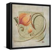 Ornaments in Peach I-Patricia Pinto-Framed Stretched Canvas