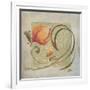 Ornaments in Peach I-Patricia Pinto-Framed Art Print