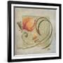 Ornaments in Peach I-Patricia Pinto-Framed Art Print