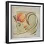 Ornaments in Peach I-Patricia Pinto-Framed Art Print