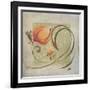 Ornaments in Peach I-Patricia Pinto-Framed Art Print