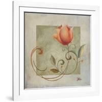 Ornaments in Peach II-Patricia Pinto-Framed Art Print