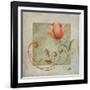 Ornaments in Peach II-Patricia Pinto-Framed Art Print