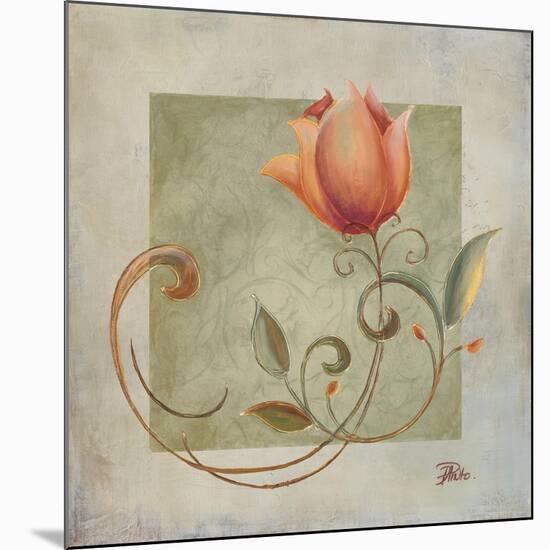 Ornaments in Peach II-Patricia Pinto-Mounted Art Print