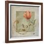 Ornaments in Peach II-Patricia Pinto-Framed Art Print