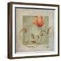 Ornaments in Peach II-Patricia Pinto-Framed Art Print