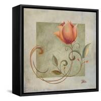 Ornaments in Peach II-Patricia Pinto-Framed Stretched Canvas