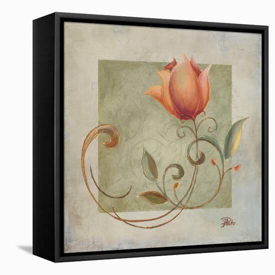 Ornaments in Peach II-Patricia Pinto-Framed Stretched Canvas