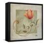 Ornaments in Peach II-Patricia Pinto-Framed Stretched Canvas