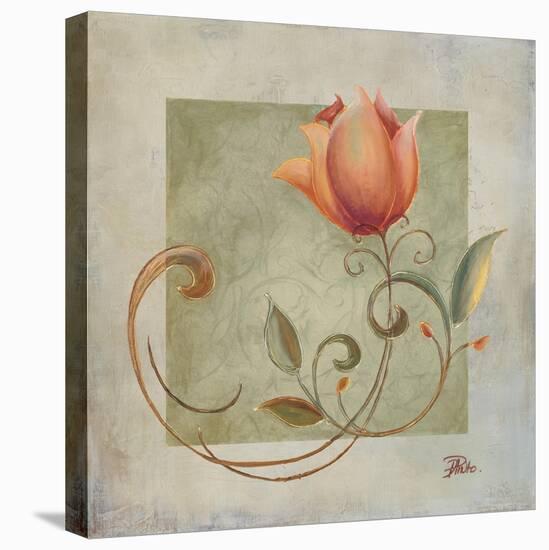Ornaments in Peach II-Patricia Pinto-Stretched Canvas