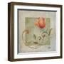 Ornaments in Peach II-Patricia Pinto-Framed Art Print