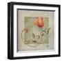 Ornaments in Peach II-Patricia Pinto-Framed Art Print