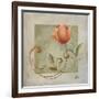 Ornaments in Peach II-Patricia Pinto-Framed Art Print