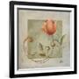 Ornaments in Peach II-Patricia Pinto-Framed Art Print