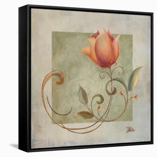 Ornaments in Peach II-Patricia Pinto-Framed Stretched Canvas