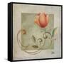 Ornaments in Peach II-Patricia Pinto-Framed Stretched Canvas