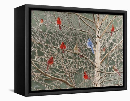 Ornaments-Fred Szatkowski-Framed Stretched Canvas