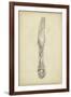 Ornate Cutlery III-Ethan Harper-Framed Art Print