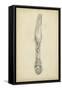 Ornate Cutlery III-Ethan Harper-Framed Stretched Canvas