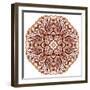 Ornate Ethnic Henna Colors Mandala-art_of_sun-Framed Premium Giclee Print