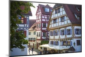 Ornate Half Timbered Houses in Ulm's Fishermen and Tanners' District, Ulm, Baden-Wurttemberg-Doug Pearson-Mounted Photographic Print