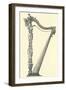 Ornate Harp Frame-null-Framed Art Print