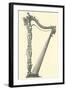 Ornate Harp Frame-null-Framed Art Print