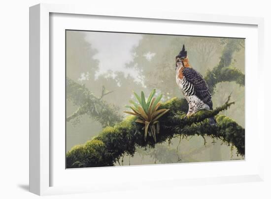 Ornate Hawk - Eagle-Harro Maass-Framed Giclee Print