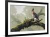 Ornate Hawk - Eagle-Harro Maass-Framed Giclee Print